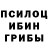 Псилоцибиновые грибы Cubensis yass.