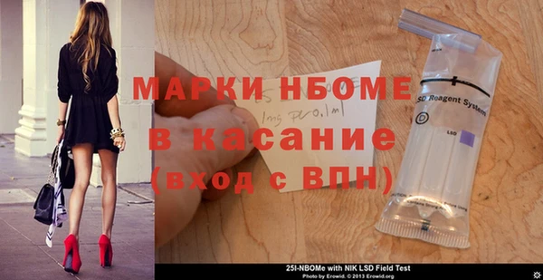 хмурый Алексин
